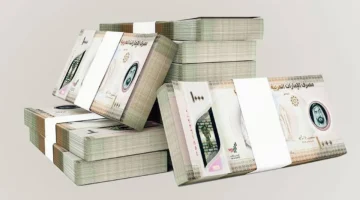 تراجع حاد.. الدرهم يفقد 13% من قيمته أمام العملات الرئيسية بسبب الدولار